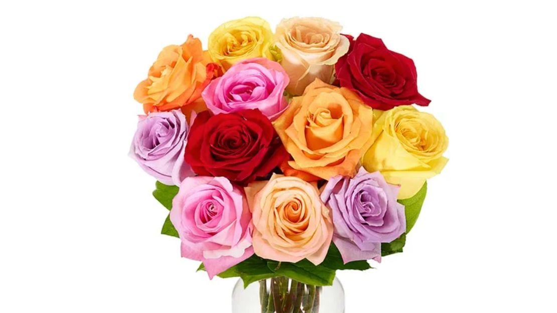 1 Dozen Rainbow Roses