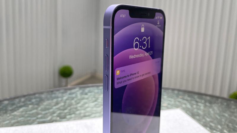 Iphone 12 Purple Фото