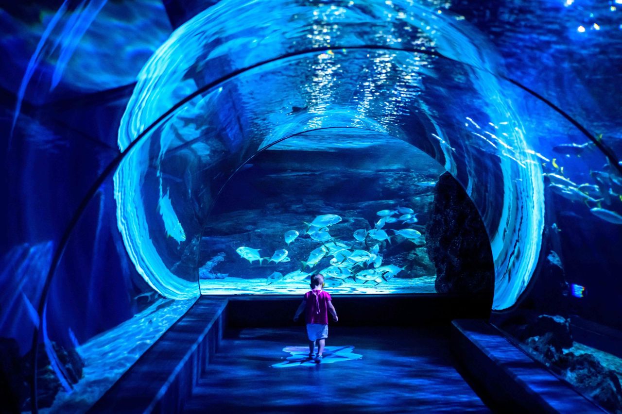 A child runs in the Shark Tunnel at the Sea Life Bangkok Ocean World aquarium on April 21 in Bangkok, Thailand.