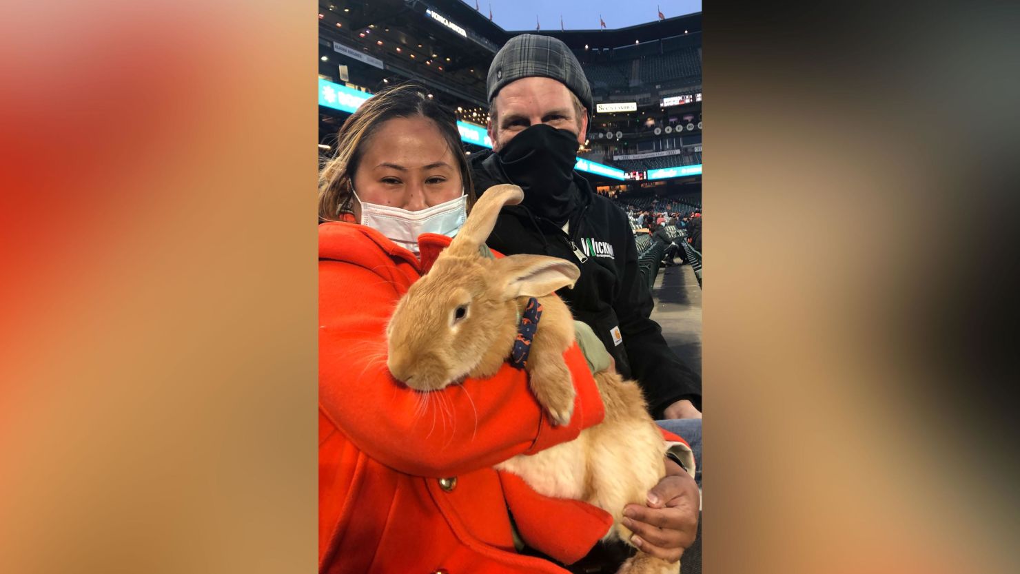 Kei Kato (left) and her fiance, Josh Row, hold a therapy bunny named Alex during a baseball game between the San Francisco Giants and the Miami Marlins.