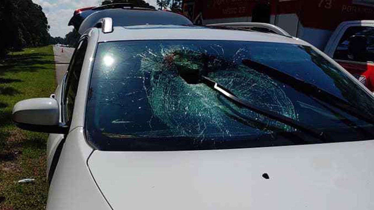 A turtle crashed through the windshield of a car on Interstate 95 near Port Orange, Florida.