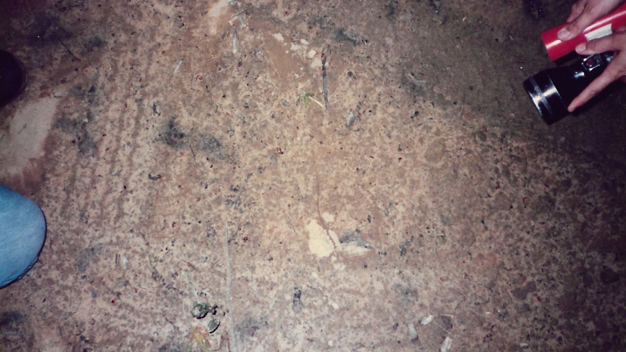 Tire tracks at the scene near where Tameka Boone was rescued in 1986.