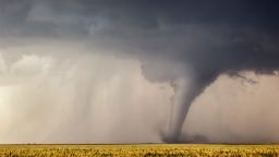 A tornado cuts its way through a field in Minneola, Kansas, 24 May 2016.