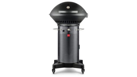 Fuego F24C Professional Propane Gas Grill