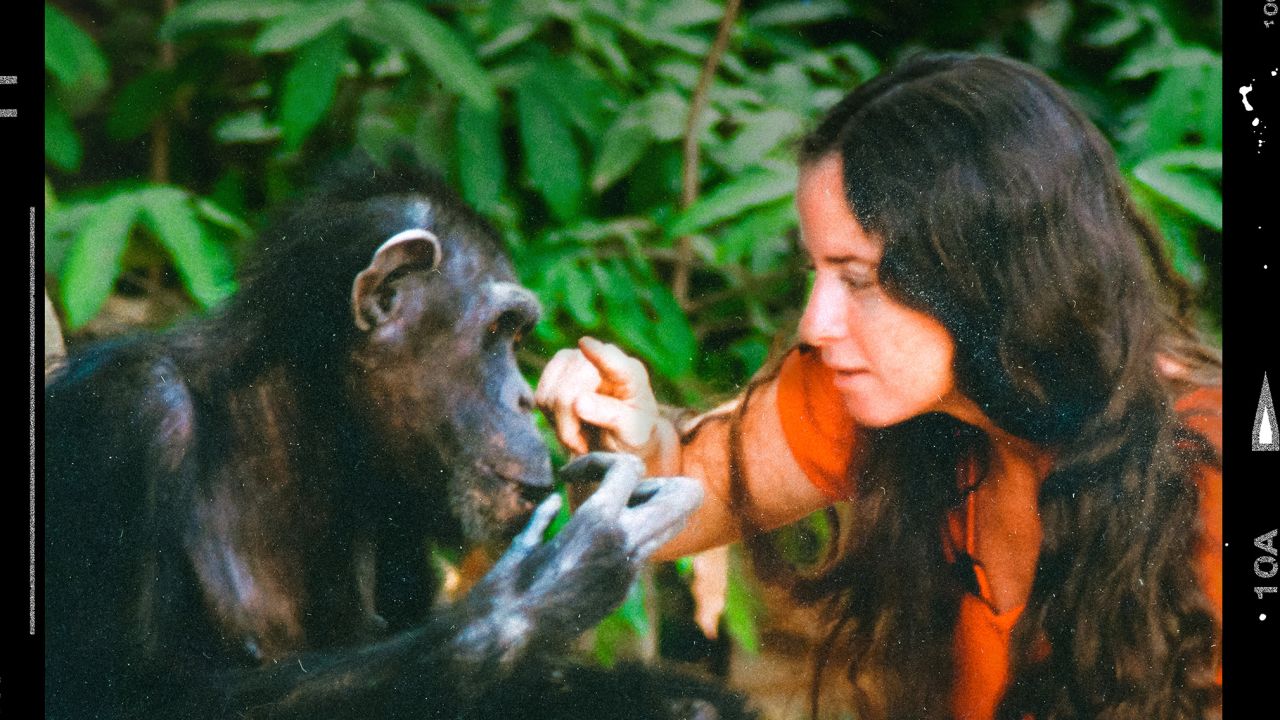 (From left) Lucy and Janis Carter are shown in "Lucy the Human Chimp" from HBO Max.
