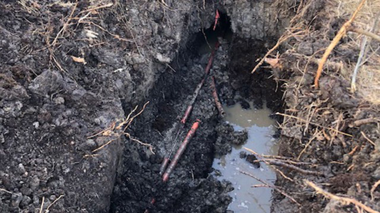 The beavers were able to gnaw through this cable in several places, even though it was buried three feet underground and protected in a 4.5-inch thick conduit.
