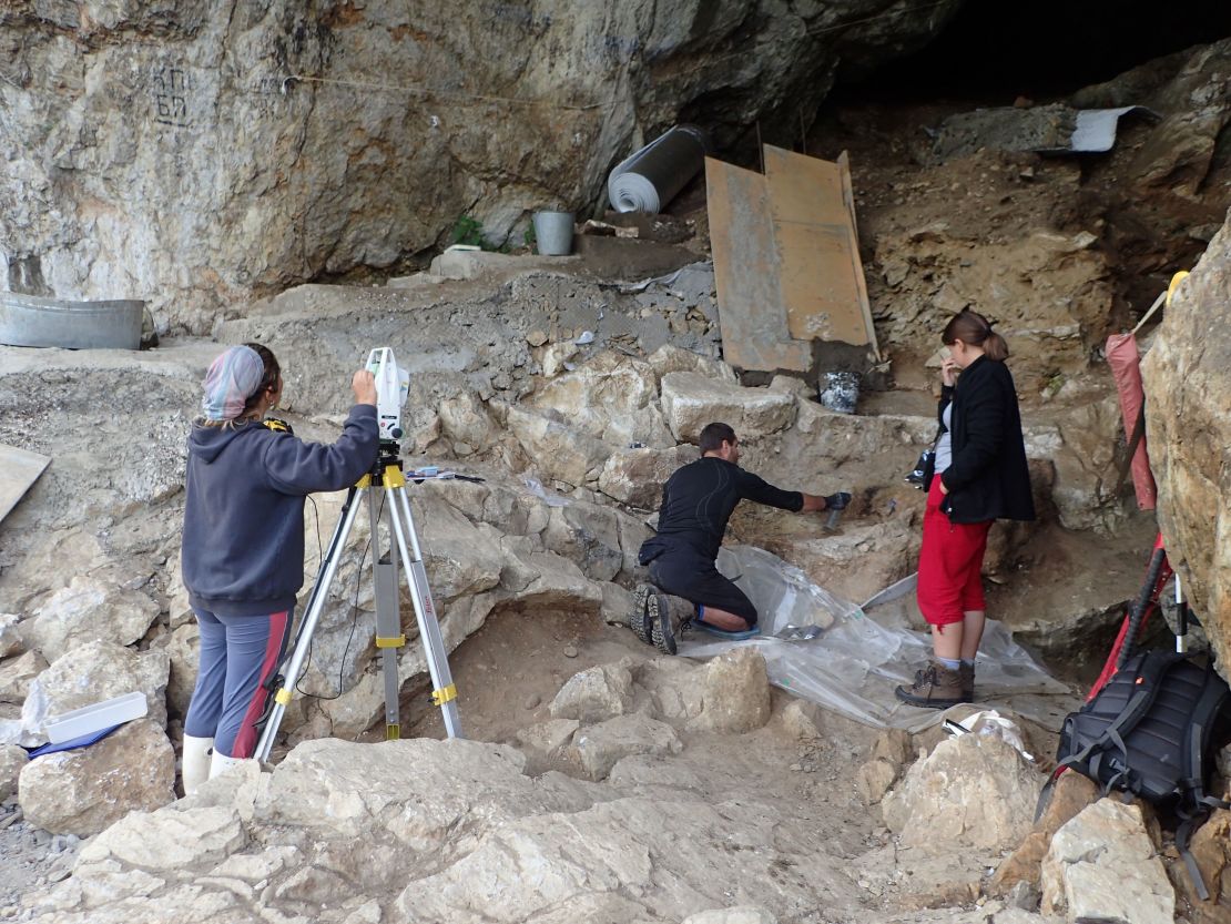 Researchers on the hunt for ancient human DNA took dirt samples from Chagyrskaya Cave in the Altai Mountains of southern Siberia.