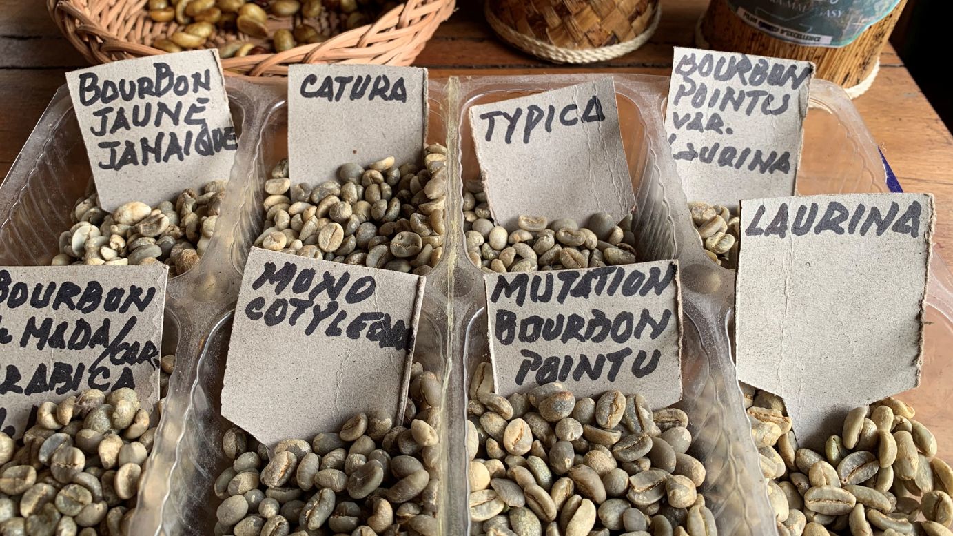Coffee beans and their countries