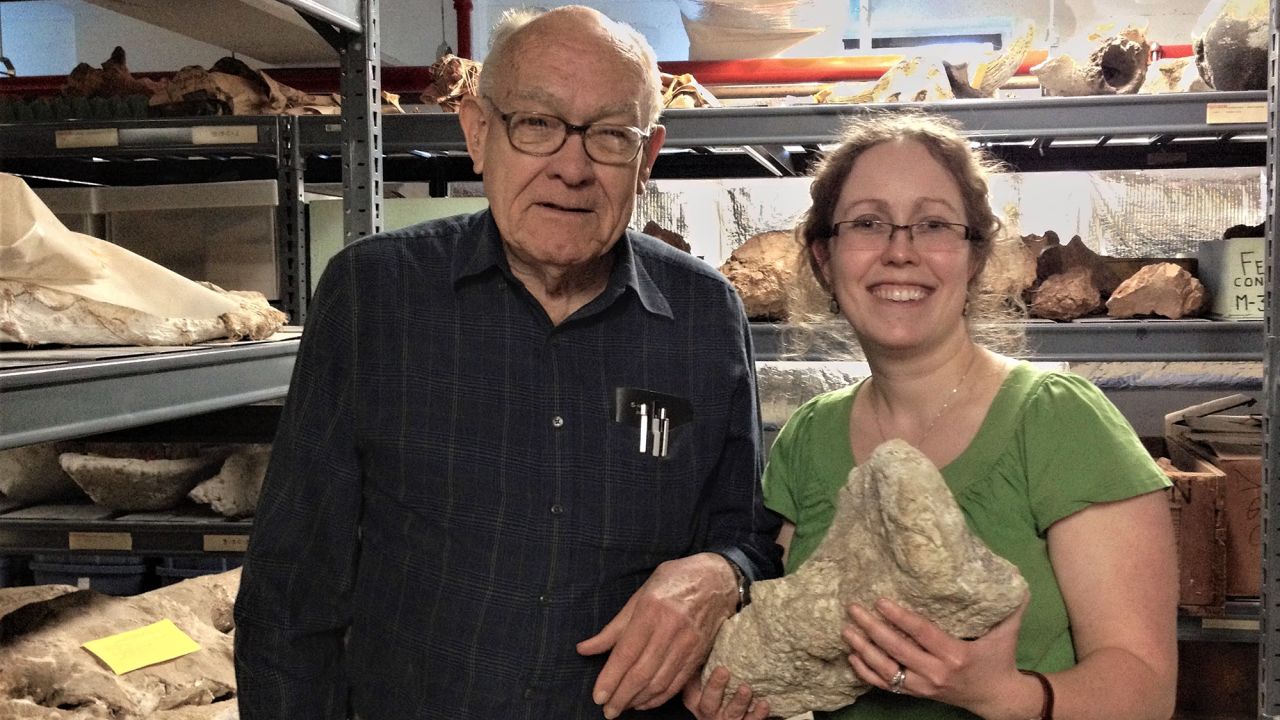 Ernest Lundelius Jr. (left) and Larisa DeSantis (right), two of the study coauthors, examine fossils in Texas.