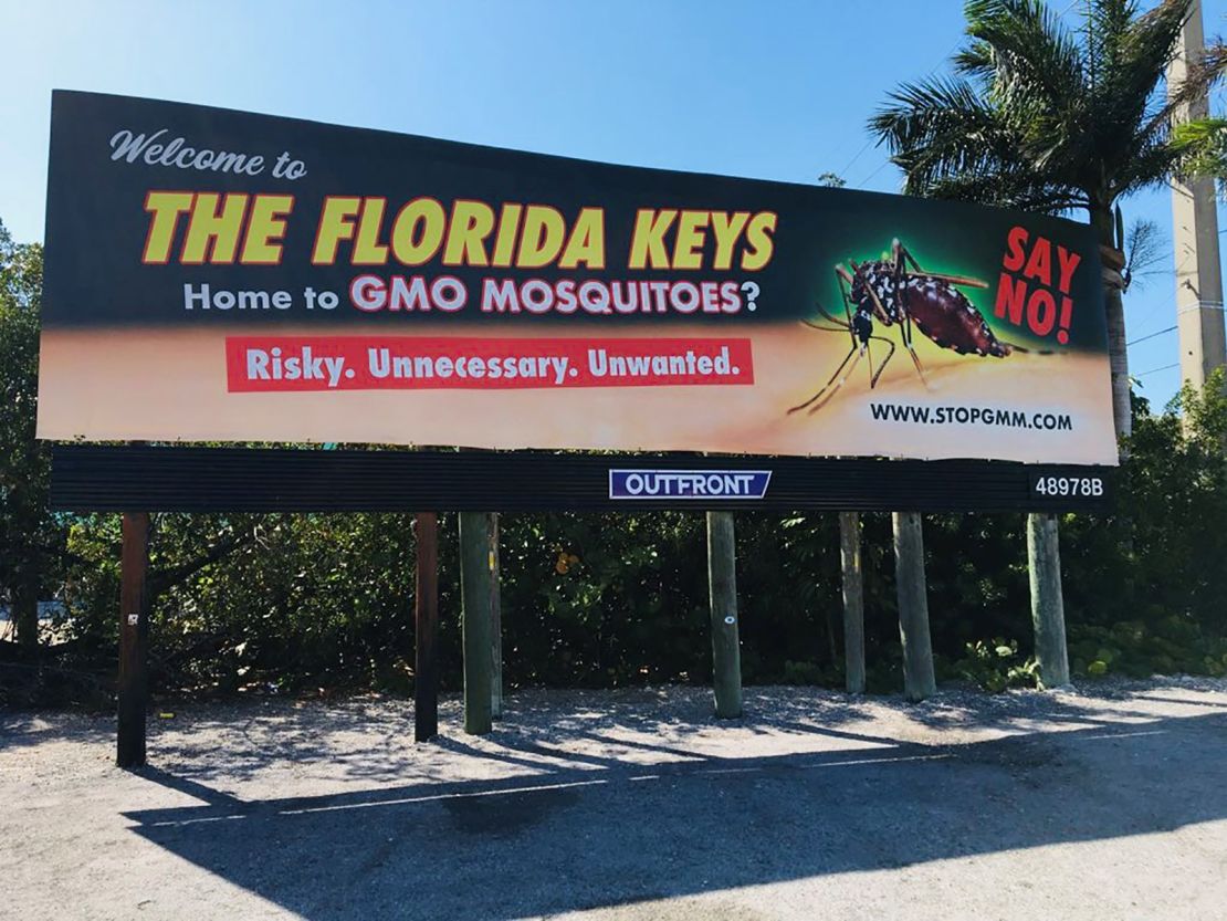Genetically Modified Mosquitoes Take Flight to Fight Invasive Species in  Florida, Smart News