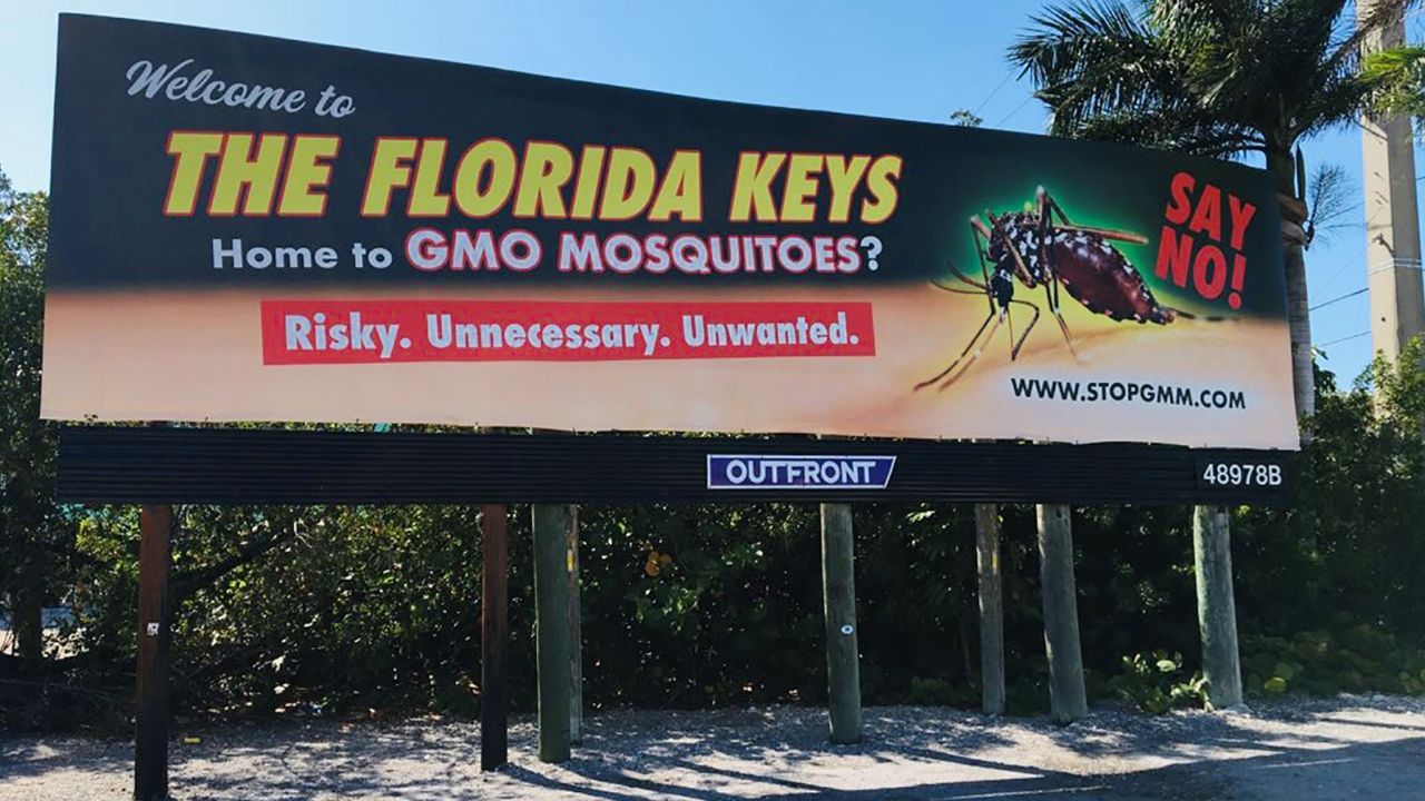 Local residents in the Florida Keys continue to protest the release of "mutant" mosquitoes.