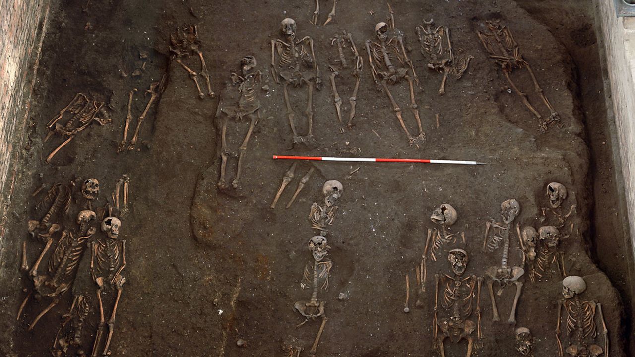 The remains of numerous individuals were unearthed on the site of the former Hospital of St. John the Evangelist in the city of Cambridge, UK. Skeletal remains were investigated as part of the study.  