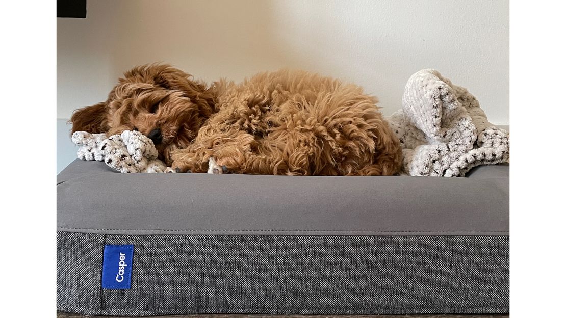 Casper Dog Bed