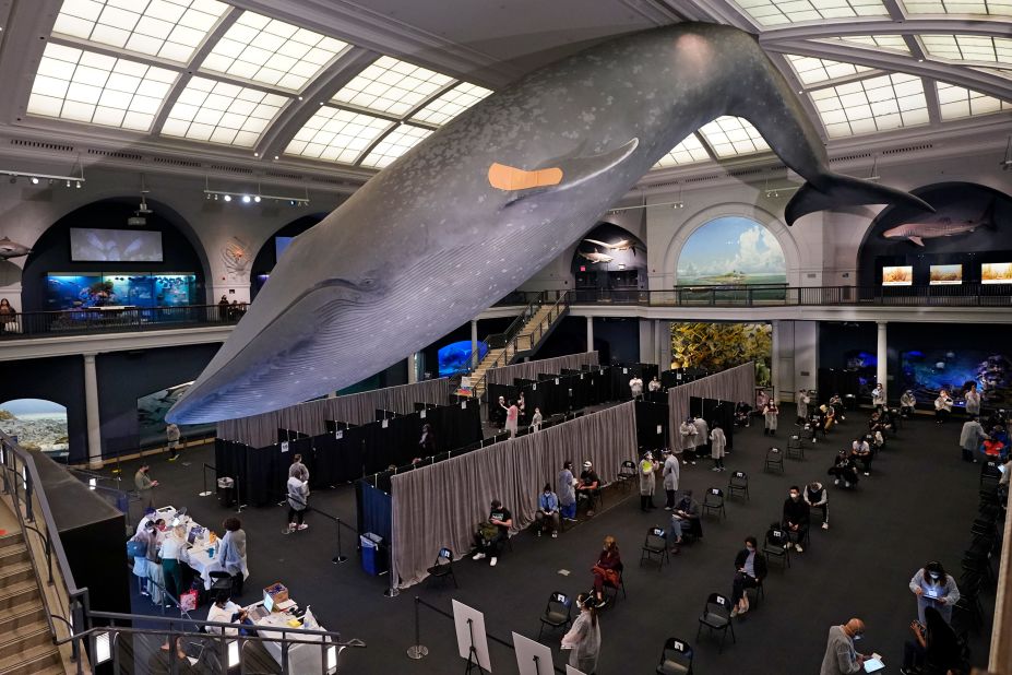 People sit in an observation area after receiving Covid-19 vaccines at the American Museum of Natural History in New York. Appointments are no longer necessary at any of the vaccination sites run by the city.