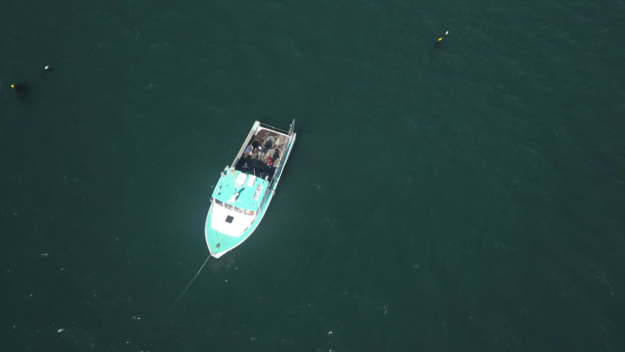 The Running Tides Technology boat