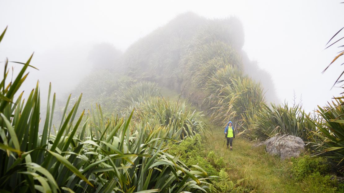 A view of Dancoise-Martineau is as prized as ticking off one of the island's many hiking trails.