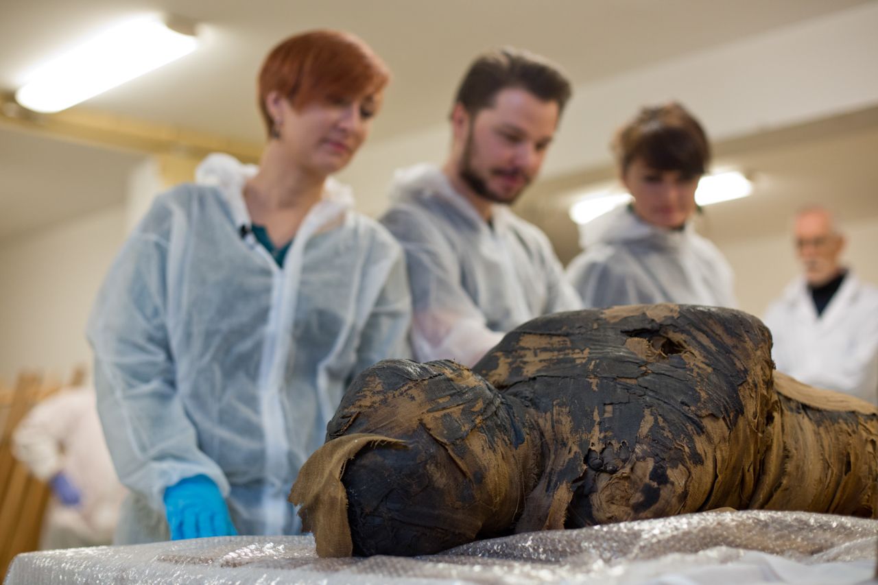 Archaeologists from the Warsaw Mummy Project examine the mummy, previously thought to be a priest. 