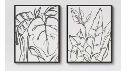 Project 62 "Botanical Sketch" Framed Wall Canvas