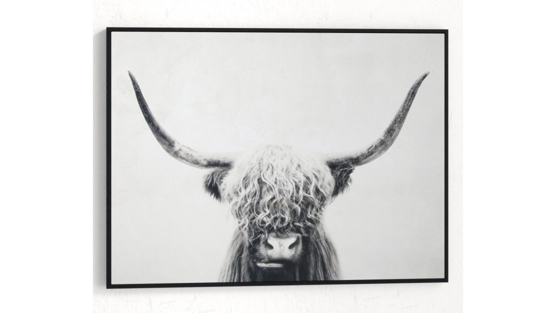 "Pancho" Picture Frame Graphic Art Print 