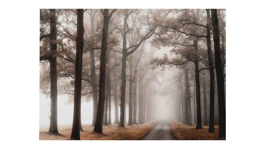 "Misty Road" Wrapped Canvas Painting Print