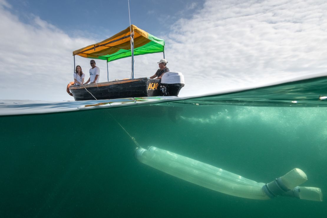 Forsberg's organization Planeto Océano involves local fishermen in scientific research.