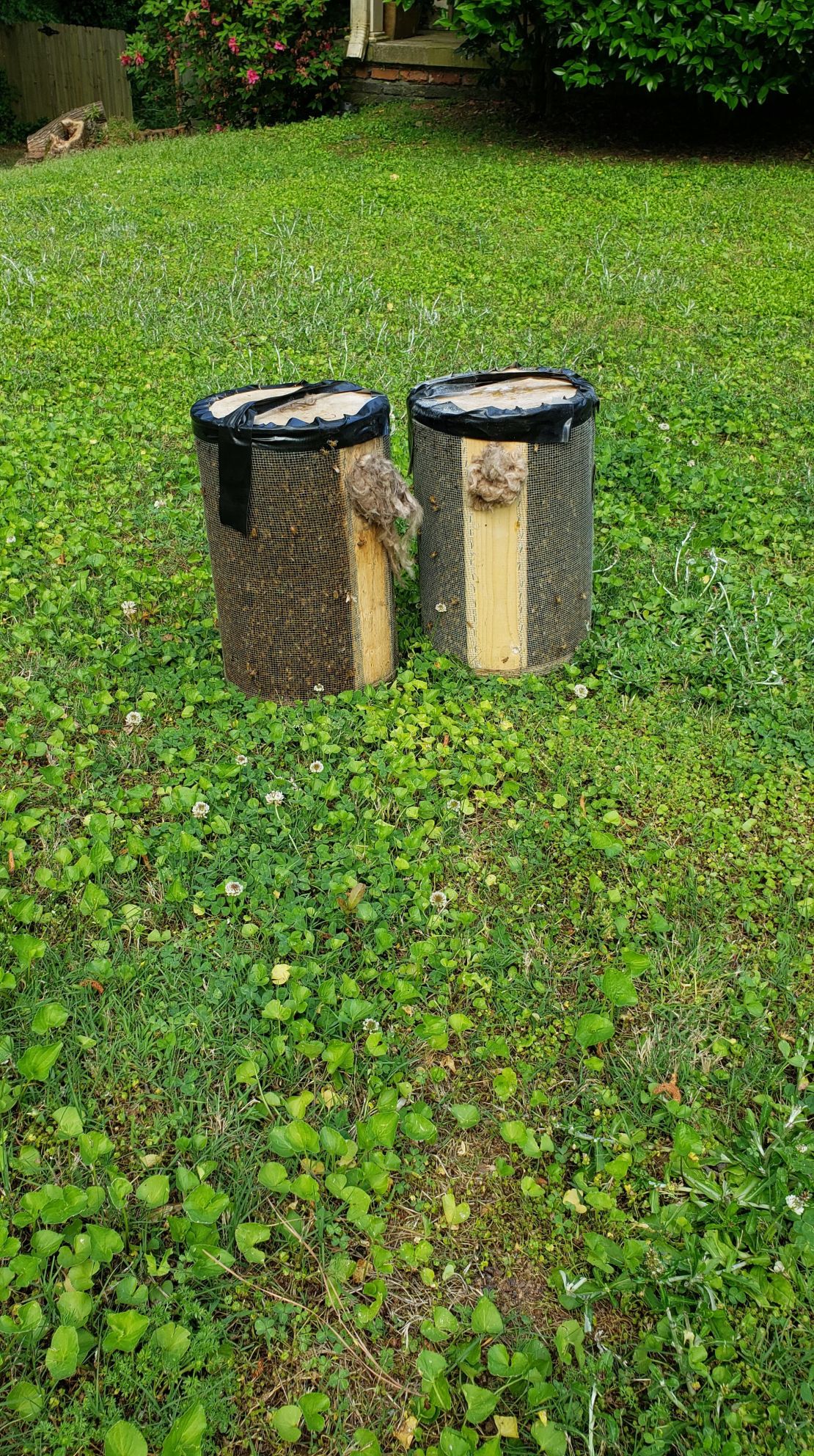 There were two containers full of the bees after Georgia Bee Removal took care of the insects. 