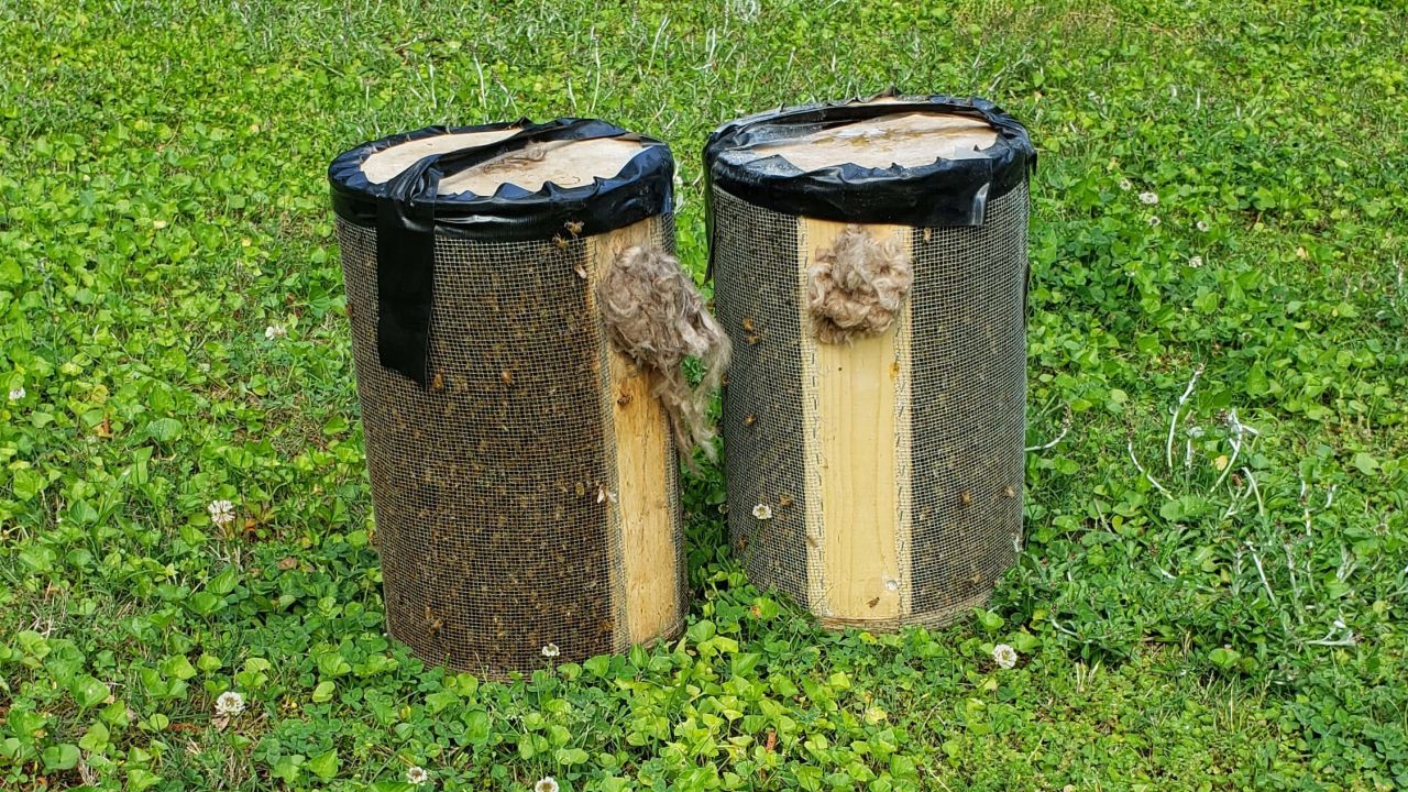 There were two containers full of the bees after Georgia Bee Removal took care of the insects. 