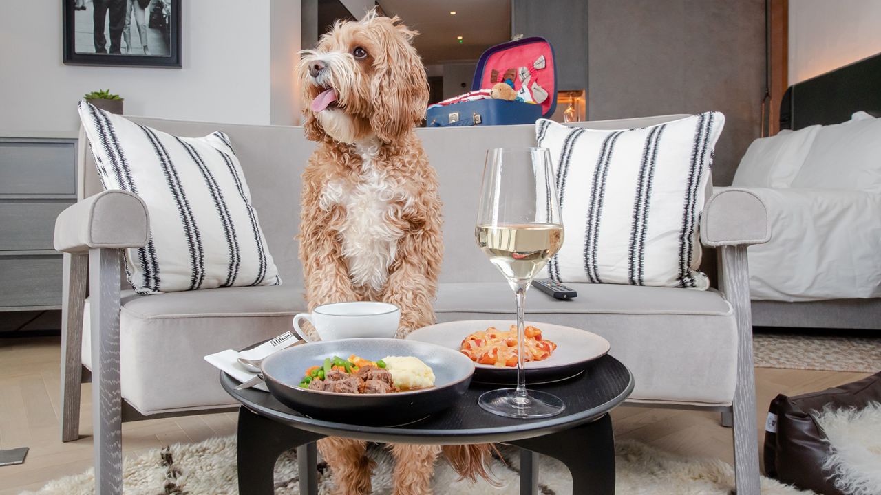 Hilton's Bone Appétit dog menu will be available to guests and their pets at 32 of Hilton's pet-friendly hotels in the UK and Ireland May 17.