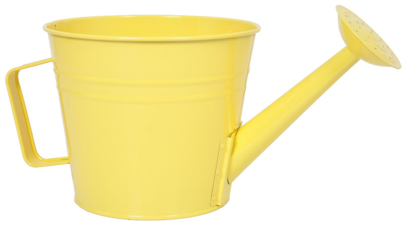 August Grove Machias Watering Can