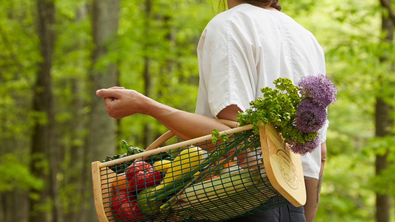 Gardener's Harvest Basket 