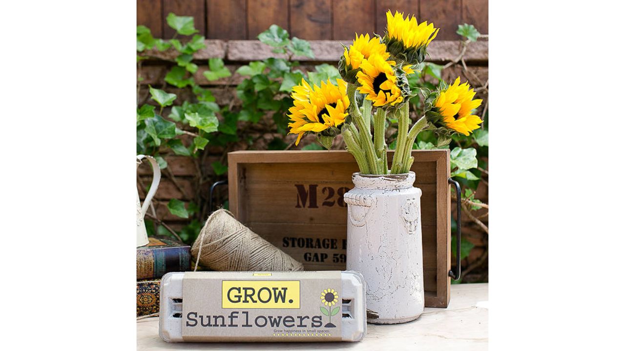 Sunflower Garden Grow Kit 