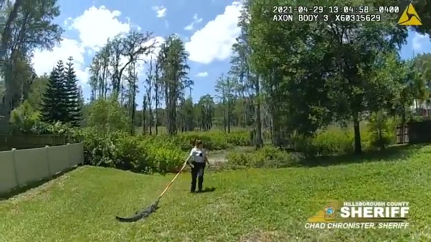 SCREENGRAB alligator broomstick Tampa