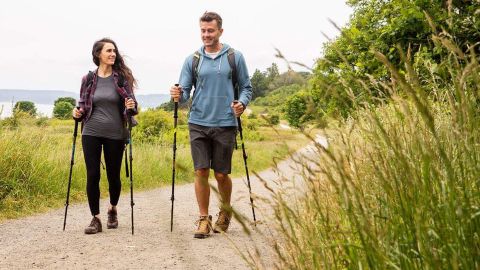 Cascade Carbon Fiber Quick Locking Trekking Poles