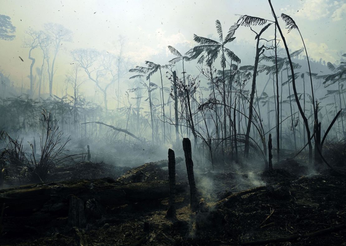 View of a burnt area of Amazon rainforest reserve, south of Novo Progresso in Pará state, Brazil.