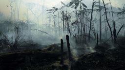 View of a burnt area of Amazon rainforest reserve, south of Novo Progresso in Para state, on August 16, 2020. (Photo by CARL DE SOUZA / AFP) (Photo by CARL DE SOUZA/AFP via Getty Images)