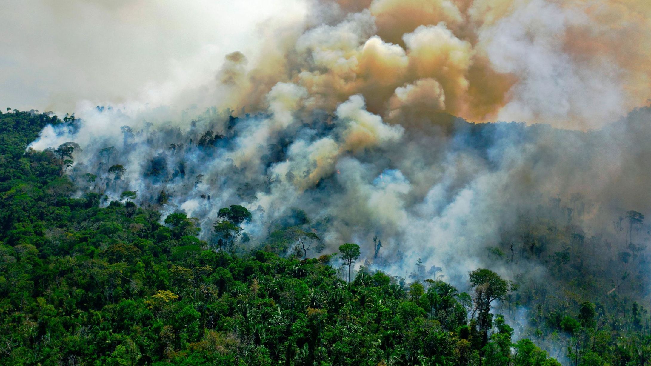 The Amazon burns in Para, Brazil, in August 2020.
