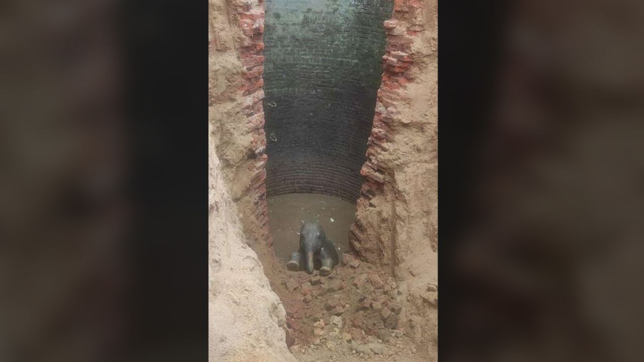 A baby elephant was rescued from a well in a village in India's Jharkhand state.