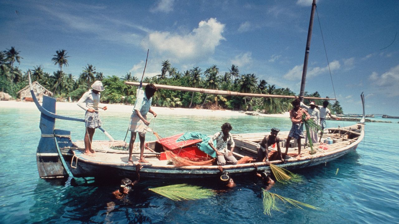 <strong>Boat life:</strong> Guests could go out on the water in these typical Maldivian boats. 