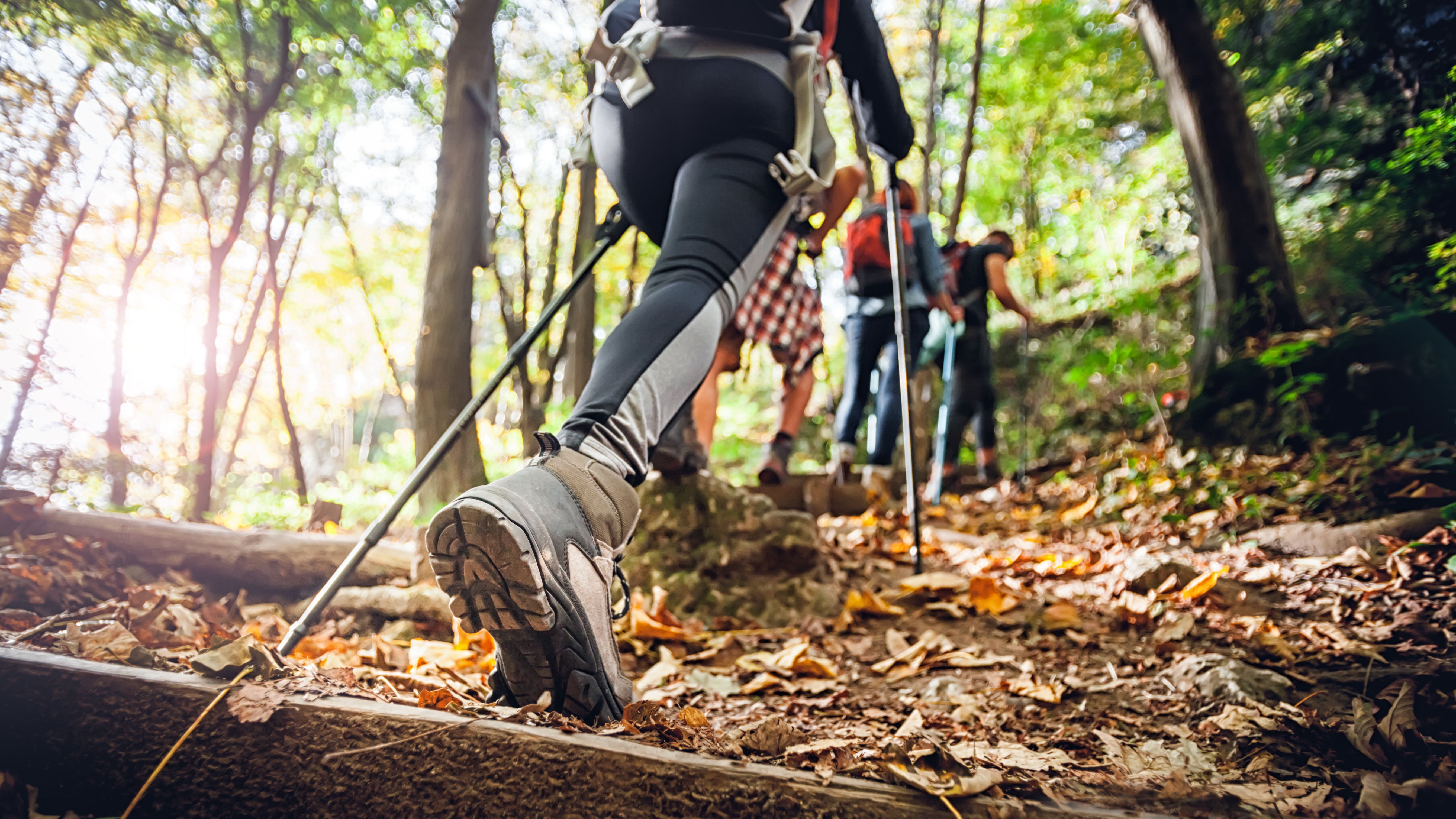 Ten Essentials for Hiking — The Hiker Trash Husbands