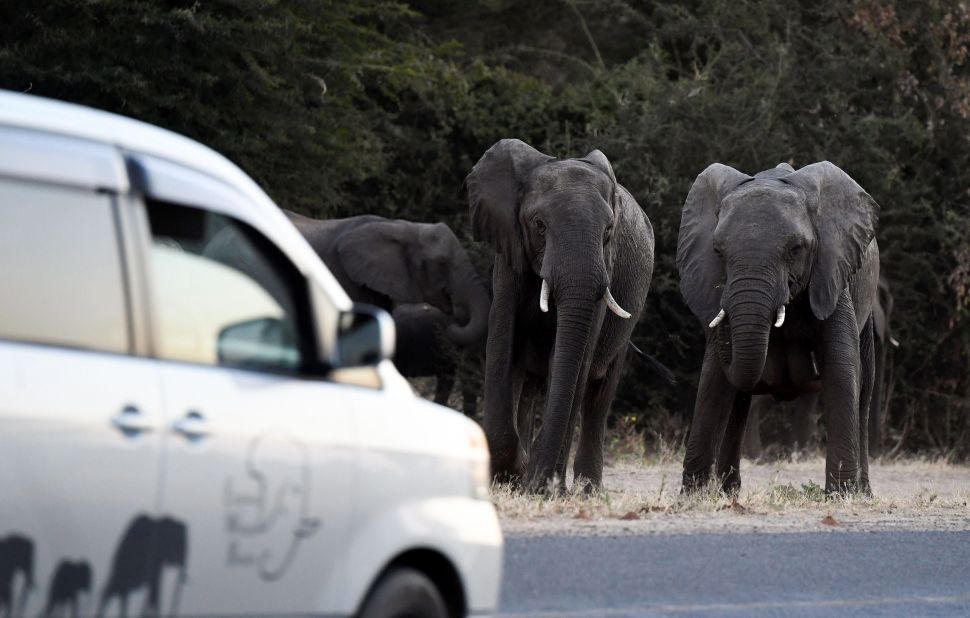 In Chobe, in northern Botswana, the encroachment of people in and around wildlife pathways drives human-wildlife conflict. <a href="https://www.cambridge.org/core/journals/oryx/article/taking-the-elephant-out-of-the-room-and-into-the-corridor-can-urban-corridors-work/4C43E703569F63FEA771EB61D327F4F2" target="_blank" target="_blank">Research has shown</a> that creating urban wildlife corridors make it easier for elephants to pass through towns without causing harm to local communities.