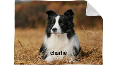 Pet Photo Blanket