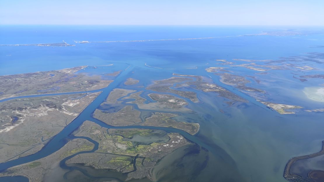 Venice's saltmarshes are disappearing at an alarming rate.