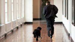 WASHINGTON - APRIL 13:  In this handout image released by the White House on April 13, 2009, U.S. President Barack Obama runs down a corridor with the family's new dog, Bo, a six-month old Portuguese water dog, in the White House in Washington, DC. Bo is a gift from Senator Ted Kennedy (D-MA) and his wife Victoria to the President's daughters, Sasha and Malia.  (Photo by Pete Souza/The White House via Getty Images)