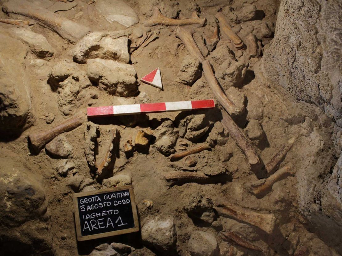 Some of the bones found in Guattari Cave near the town of San Felice Circeo in Italy. 
