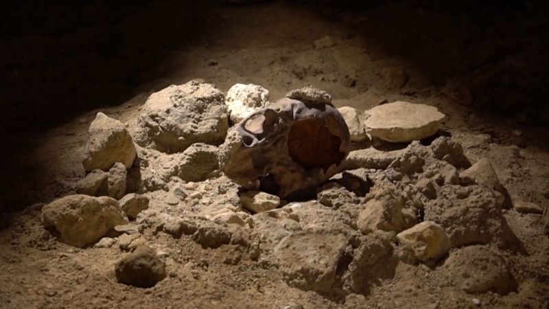 Neanderthal Cave Discovery And More Top Space And Science Stories CNN   210510162621 Neanderthal Remains Italy 