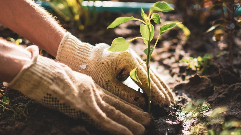 17 Best Gardening Gifts Of 2021 Cnn Underscored 17 Best Gardening Gifts Of 2021 Cnn, What To Gift Someone Who Loves Gardening