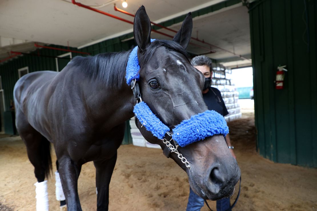 Kentucky Derby winner Medina Spirit is walked in the barn by assistant trainer Jimmy Barnes after arriving Monday, May 10, at Pimlico Race Course for the upcoming Preakness Stakes.