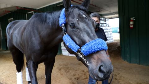 Kentucky Derby winner Medina Spirit is walked in the barn by assistant trainer Jimmy Barnes after arriving Monday, May 10, at Pimlico Race Course for the upcoming Preakness Stakes.