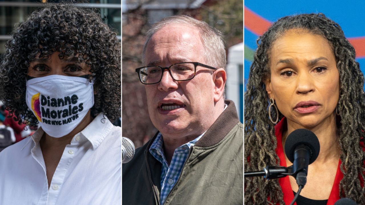 Dianne Morales, Scott Stringer and Maya Wiley are each seeking progressive support in the New York City mayoral race.