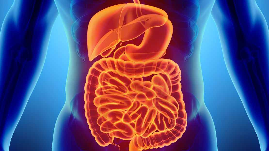 The microbiome resides in your gut, primarily the large intestine.